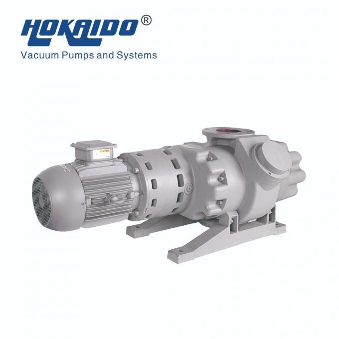 500/1000/2000m³ /H Roots Vacuum Pump Booster Use in Petroleum/Chemical Engineering/Medicine/Pharmacy/Food/Spinning/Daily Use Chemical/ Resin Deaeration