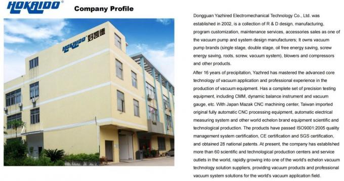 500/1000/2000m³ /H Roots Vacuum Pump Booster Use in Petroleum/Chemical Engineering/Medicine/Pharmacy/Food/Spinning/Daily Use Chemical/ Resin Deaeration